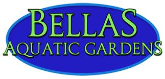 Bella's Aquatic Gardens in Miami